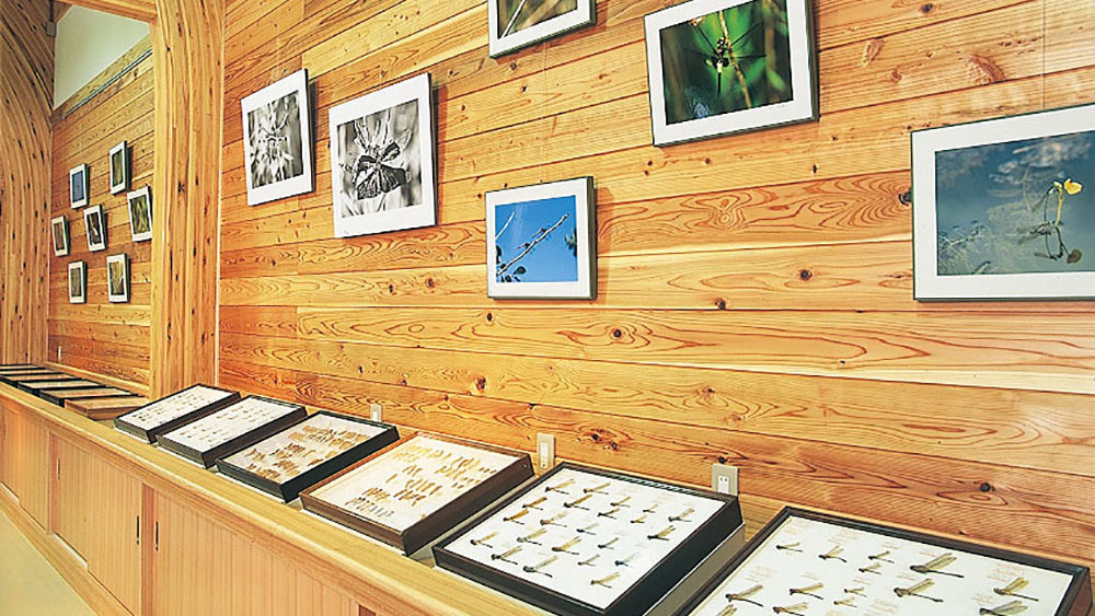 Shishigahana Park & Trekking Trail