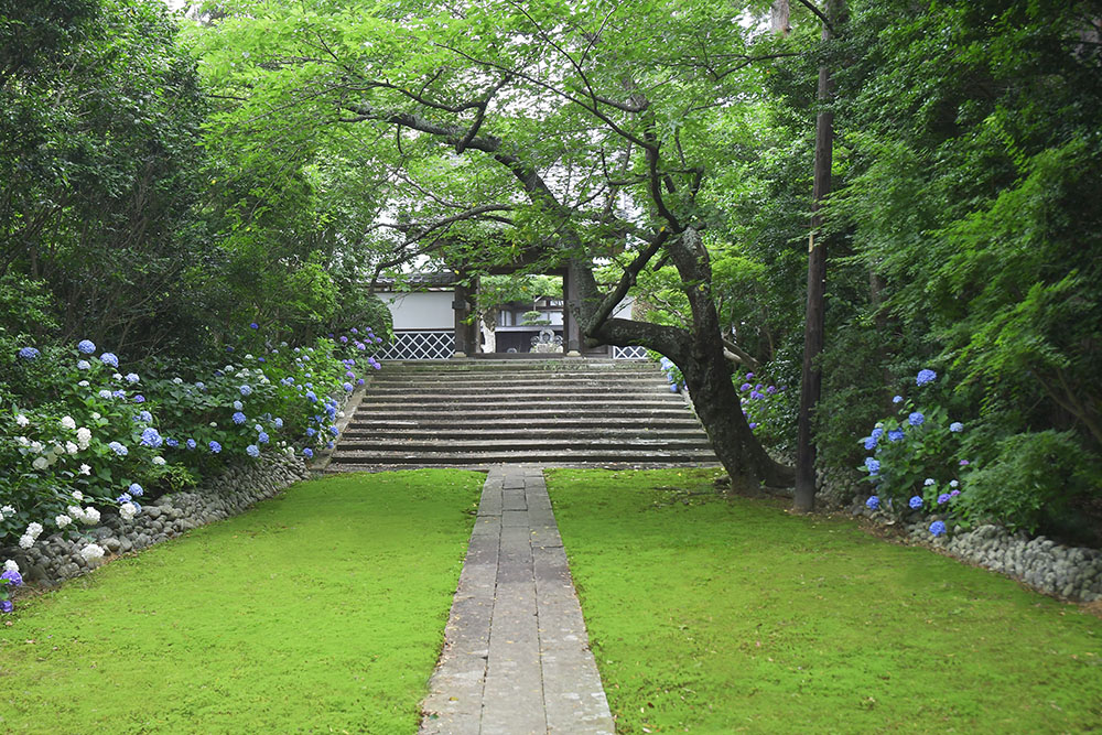 Museum of Fragrance