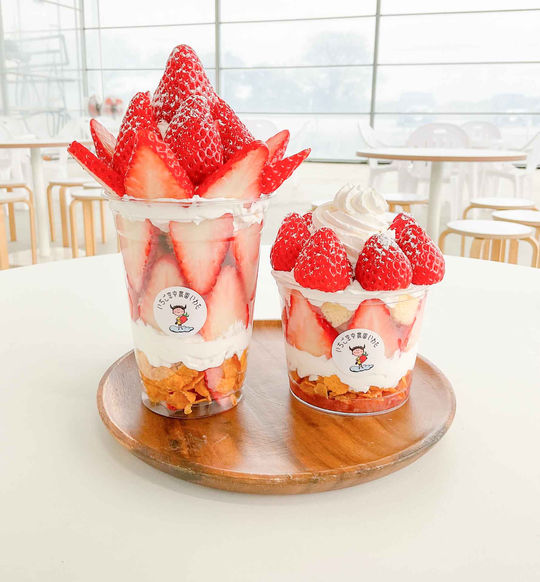Strawberry Floating Farm Iwata